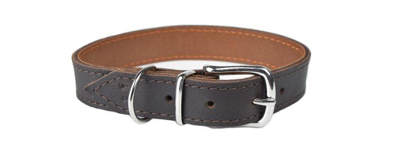 Hundehalsband leder