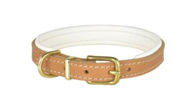 Hundehalsband leder
