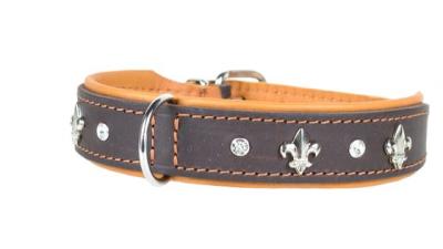 Hundehalsband aus Leder