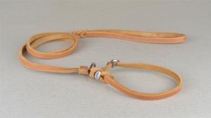 Agilityleine - Moxonleine - Retrieverleine